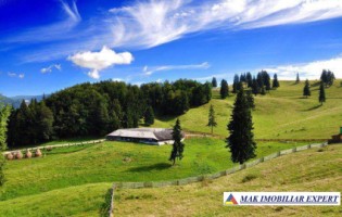 domeniu-cu-2-pensiuni-20-camere-si-10-ha-teren-de-vanzare-in-dealul-sasului-dambovicioara-potential-turistic-exceptional-23