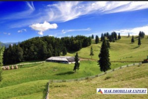 domeniu-cu-2-pensiuni-20-camere-si-10-ha-teren-de-vanzare-in-dealul-sasului-dambovicioara-potential-turistic-exceptional-20