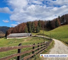 domeniu-cu-2-pensiuni-20-camere-si-10-ha-teren-de-vanzare-in-dealul-sasului-dambovicioara-potential-turistic-exceptional-25