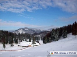 domeniu-cu-2-pensiuni-20-camere-si-10-ha-teren-de-vanzare-in-dealul-sasului-dambovicioara-potential-turistic-exceptional-29