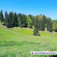 domeniu-cu-2-pensiuni-20-camere-si-10-ha-teren-de-vanzare-in-dealul-sasului-dambovicioara-potential-turistic-exceptional-30