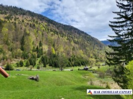 vila-5-camere-cu-teren-de-500-mp-de-vanzare-in-valea-urdii-dambovicioara-arges-3
