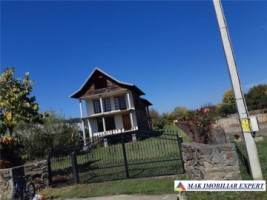 vila-8-camere-1000-mp-domnesti-arges-spatiu-generos-si-confortabil-pentru-familie-3