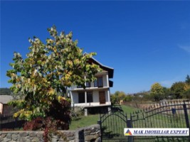 vila-8-camere-1000-mp-domnesti-arges-spatiu-generos-si-confortabil-pentru-familie-4