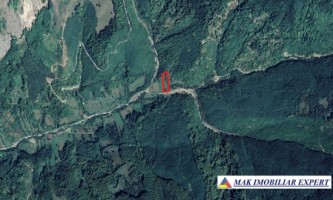 teren-de-5500-mp-intraextravilan-de-vanzare-in-dragoslavele-arges-8