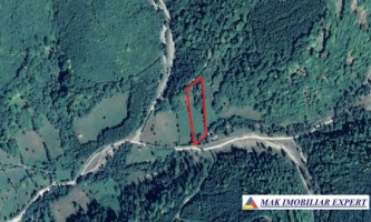 teren-de-5500-mp-intraextravilan-de-vanzare-in-dragoslavele-arges-7