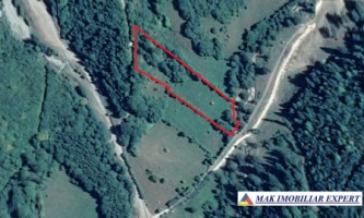 teren-de-5500-mp-intraextravilan-de-vanzare-in-dragoslavele-arges-9