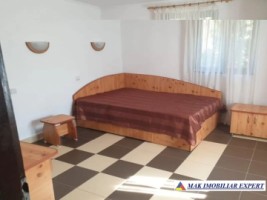 complex-vila-8-camere-de-vanzare-teren-13-ha-in-godeni-arges-7