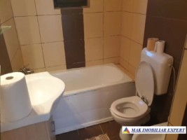 complex-vila-8-camere-de-vanzare-teren-13-ha-in-godeni-arges-11