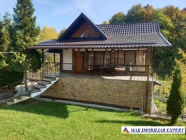 complex-vila-8-camere-de-vanzare-teren-13-ha-in-godeni-arges-12