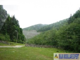 vand-teren-forestier-2000-mp-baraj-rausor-leresti-arges