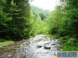 vand-teren-forestier-2000-mp-baraj-rausor-leresti-arges-2