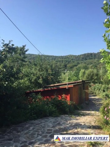 de-vanzare-vila-tip-conac-cu-3-camere-si-teren-de-8300-mp-malureni-arges-1