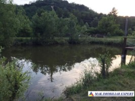 de-vanzare-vila-tip-conac-cu-3-camere-si-teren-de-8300-mp-malureni-arges-5