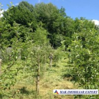 de-vanzare-vila-tip-conac-cu-3-camere-si-teren-de-8300-mp-malureni-arges-6