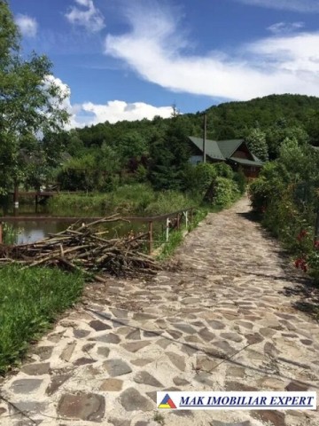 de-vanzare-vila-tip-conac-cu-3-camere-si-teren-de-8300-mp-malureni-arges-4