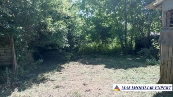 teren-intravilan-8000-mp-parcul-dendrologic-mihaesti-arges-ideal-pentru-constructii-2