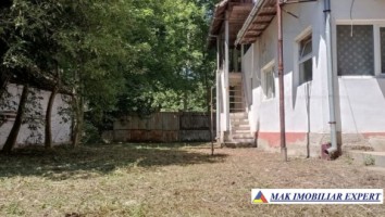 teren-intravilan-8000-mp-parcul-dendrologic-mihaesti-arges-ideal-pentru-constructii-4