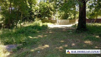 teren-intravilan-8000-mp-parcul-dendrologic-mihaesti-arges-ideal-pentru-constructii-3
