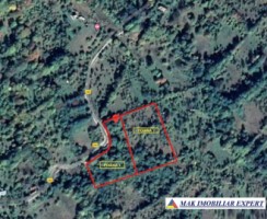 teren-intravilan-125-ha-nucsoara-arges-ideal-pentru-dezvoltari-rezidentiale-si-agricole