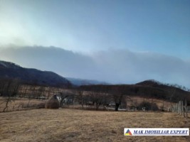 vand-teren-intravilan-3300-mp-cu-casa-in-candesti-albestii-de-muscel-arges-4