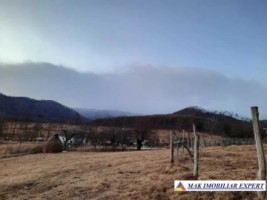 vand-teren-intravilan-3300-mp-cu-casa-in-candesti-albestii-de-muscel-arges-5