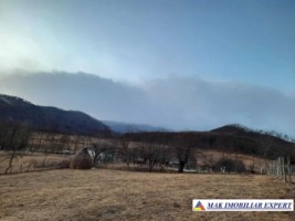 vand-teren-intravilan-3300-mp-cu-casa-in-candesti-albestii-de-muscel-arges-6