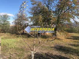 teren-intravilan-620-mp-imprejmuit-cu-livada-si-apa-in-fata-alba-iulia-cetate-piata-5