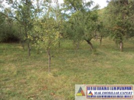 vand-teren-intravilan-2410-mp-poienarii-de-muscel-arges-3