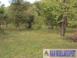 vand-teren-intravilan-2410-mp-poienarii-de-muscel-arges-4