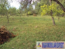vand-teren-intravilan-2410-mp-poienarii-de-muscel-arges-6
