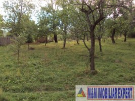 vand-teren-intravilan-2410-mp-poienarii-de-muscel-arges-1