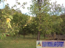 vand-teren-intravilan-2410-mp-poienarii-de-muscel-arges-7