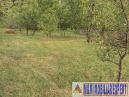 vand-teren-intravilan-2410-mp-poienarii-de-muscel-arges-2