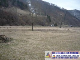 teren-2500-mp-intra-extravilan-parcelat-in-rucar-satic-oportunitate-ideala-1