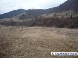 teren-2500-mp-intra-extravilan-parcelat-in-rucar-satic-oportunitate-ideala-3
