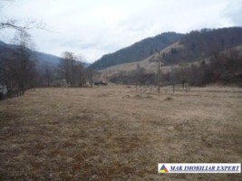 teren-2500-mp-intra-extravilan-parcelat-in-rucar-satic-oportunitate-ideala-5