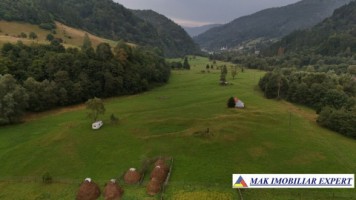 teren-2500-mp-intra-extravilan-parcelat-in-rucar-satic-oportunitate-ideala-6