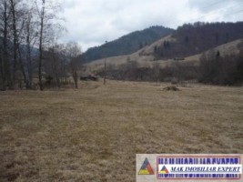 teren-2500-mp-intra-extravilan-parcelat-in-rucar-satic-oportunitate-ideala-7