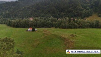 teren-2500-mp-intra-extravilan-parcelat-in-rucar-satic-oportunitate-ideala-9