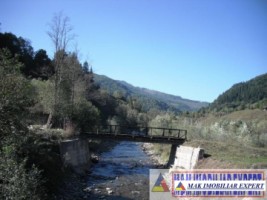 teren-2500-mp-intra-extravilan-parcelat-in-rucar-satic-oportunitate-ideala-18