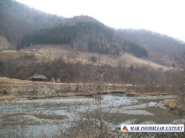 teren-2500-mp-intra-extravilan-parcelat-in-rucar-satic-oportunitate-ideala-23