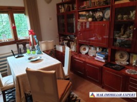 casa-stil-cu-6-camere-si-teren-de-3000-mp-de-vanzare-poienarii-de-muscel-arges-6
