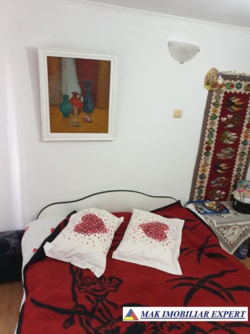 casa-stil-cu-6-camere-si-teren-de-3000-mp-de-vanzare-poienarii-de-muscel-arges-10
