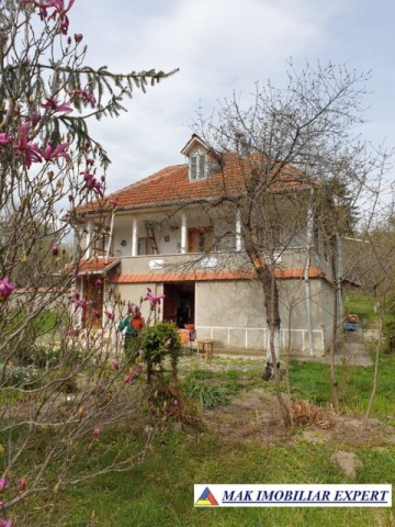 casa-stil-cu-6-camere-si-teren-de-3000-mp-de-vanzare-poienarii-de-muscel-arges-19