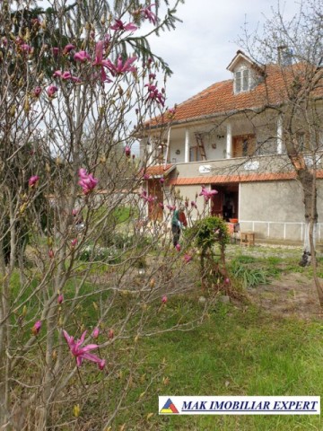 casa-stil-cu-6-camere-si-teren-de-3000-mp-de-vanzare-poienarii-de-muscel-arges-20