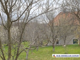casa-stil-cu-6-camere-si-teren-de-3000-mp-de-vanzare-poienarii-de-muscel-arges-28