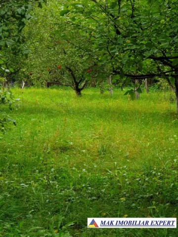 casa-stil-cu-6-camere-si-teren-de-3000-mp-de-vanzare-poienarii-de-muscel-arges-31