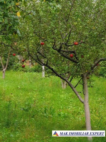 casa-stil-cu-6-camere-si-teren-de-3000-mp-de-vanzare-poienarii-de-muscel-arges-32