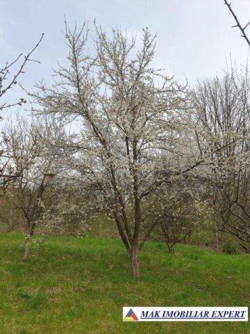 casa-stil-cu-6-camere-si-teren-de-3000-mp-de-vanzare-poienarii-de-muscel-arges-33